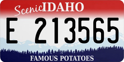 ID license plate E213565