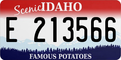 ID license plate E213566