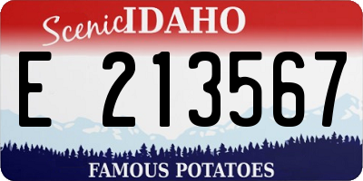 ID license plate E213567