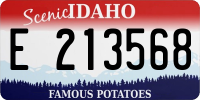 ID license plate E213568