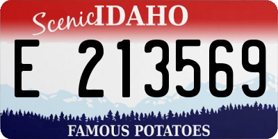 ID license plate E213569