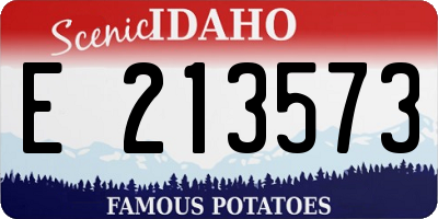 ID license plate E213573