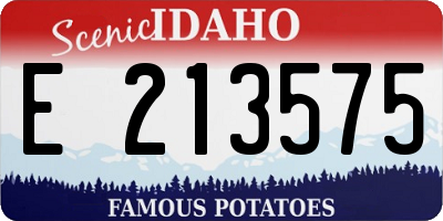 ID license plate E213575