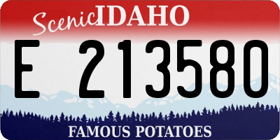 ID license plate E213580