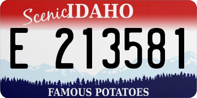 ID license plate E213581