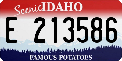 ID license plate E213586