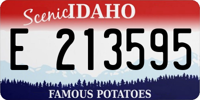 ID license plate E213595