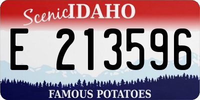 ID license plate E213596