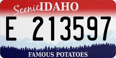 ID license plate E213597