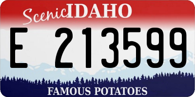 ID license plate E213599