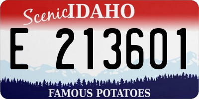 ID license plate E213601
