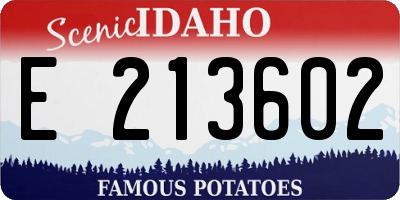 ID license plate E213602