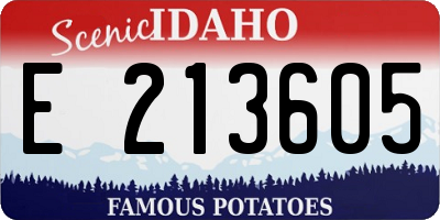 ID license plate E213605