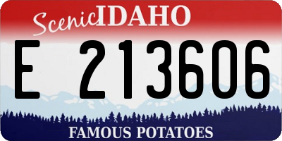 ID license plate E213606