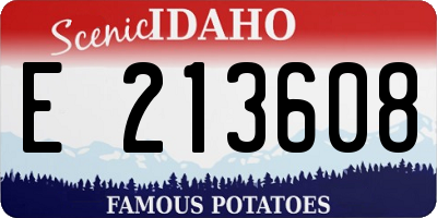 ID license plate E213608