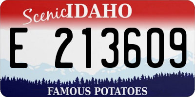 ID license plate E213609
