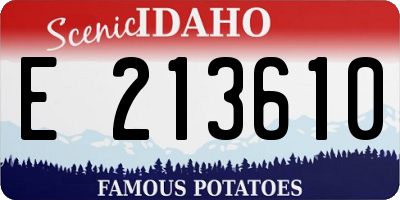 ID license plate E213610