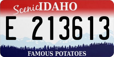 ID license plate E213613