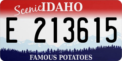 ID license plate E213615
