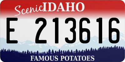 ID license plate E213616