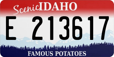 ID license plate E213617