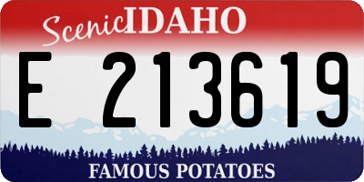 ID license plate E213619