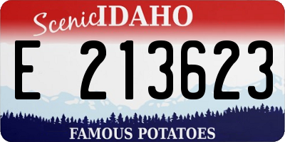 ID license plate E213623