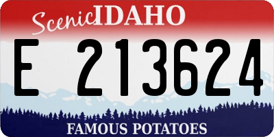 ID license plate E213624