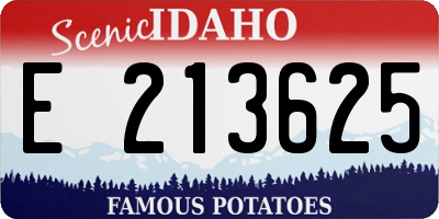ID license plate E213625