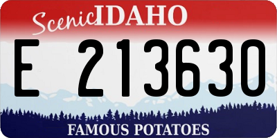 ID license plate E213630