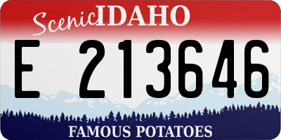 ID license plate E213646