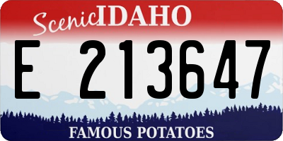 ID license plate E213647