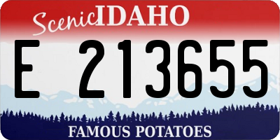 ID license plate E213655