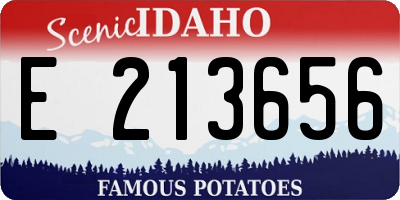 ID license plate E213656