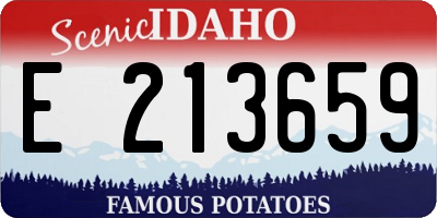 ID license plate E213659