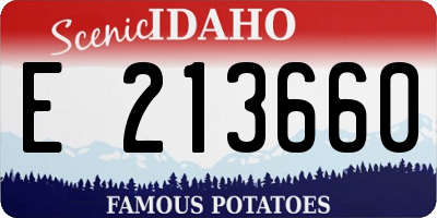 ID license plate E213660