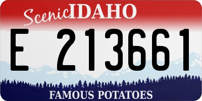 ID license plate E213661