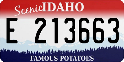 ID license plate E213663