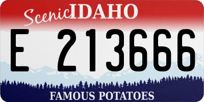 ID license plate E213666