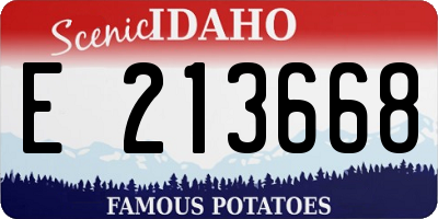 ID license plate E213668