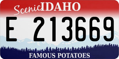 ID license plate E213669