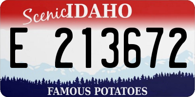 ID license plate E213672
