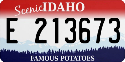 ID license plate E213673