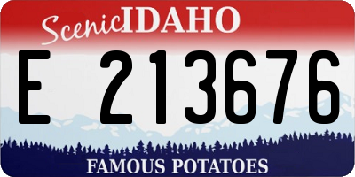 ID license plate E213676