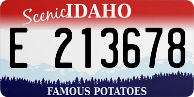 ID license plate E213678
