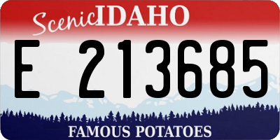 ID license plate E213685