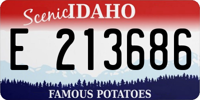 ID license plate E213686