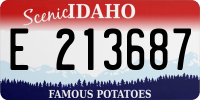 ID license plate E213687