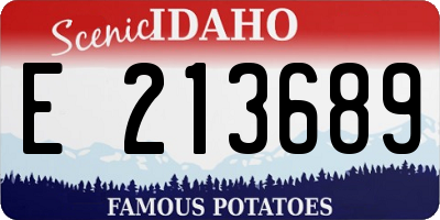 ID license plate E213689