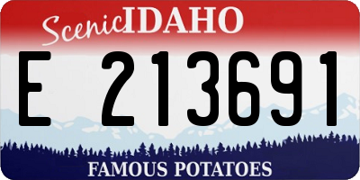 ID license plate E213691
